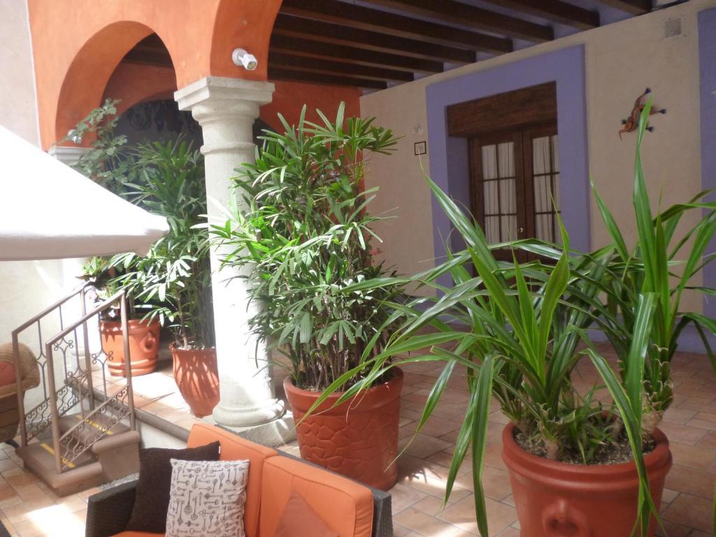 Hotel Trebol Oaxaca Bilik gambar